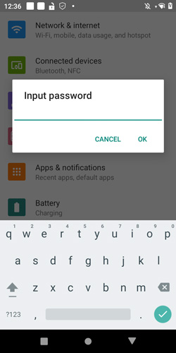 Input password